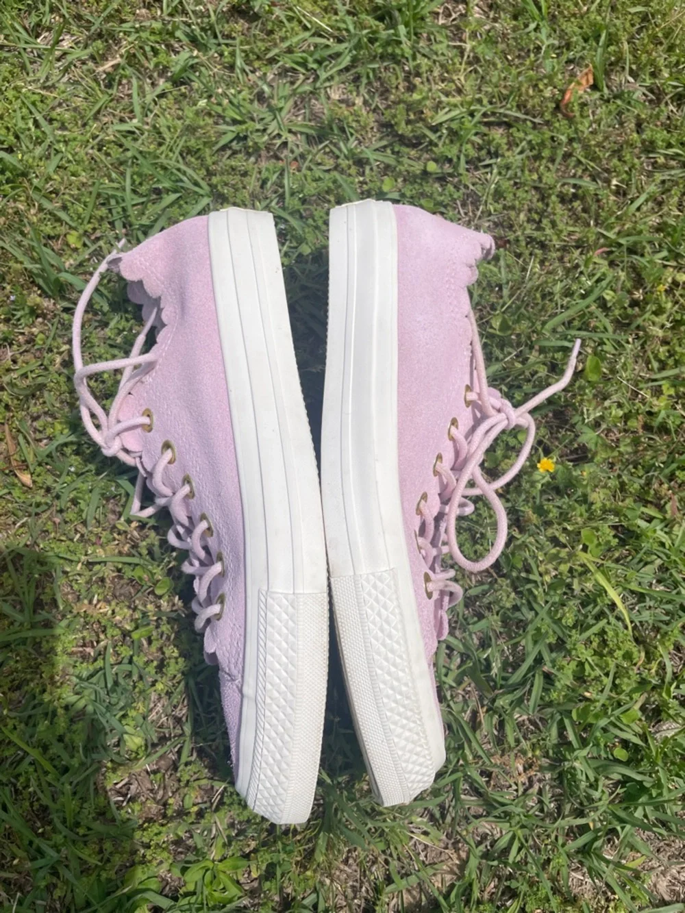 Converse All-Star Suede Shoes - Picture 6 of 8